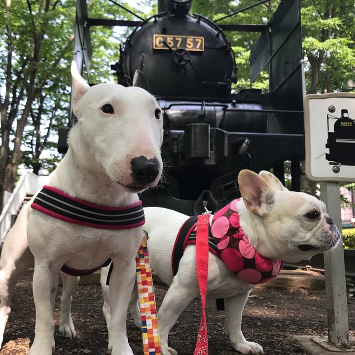 8ef6ba44 c438 4838 a79c 644a8177502f