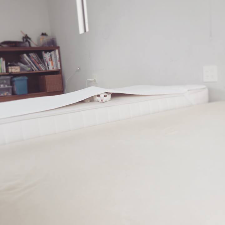 8ef6fa55 3d03 4c32 ab9d ad66f6f4da1b