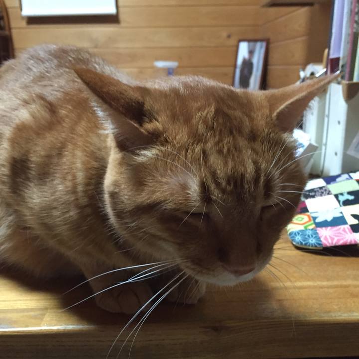 8ef7359e 87ab 480b 8d62 1aef269bae7d