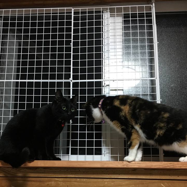 8ef79f3d eb1b 479c baa8 9f0f3ece6396