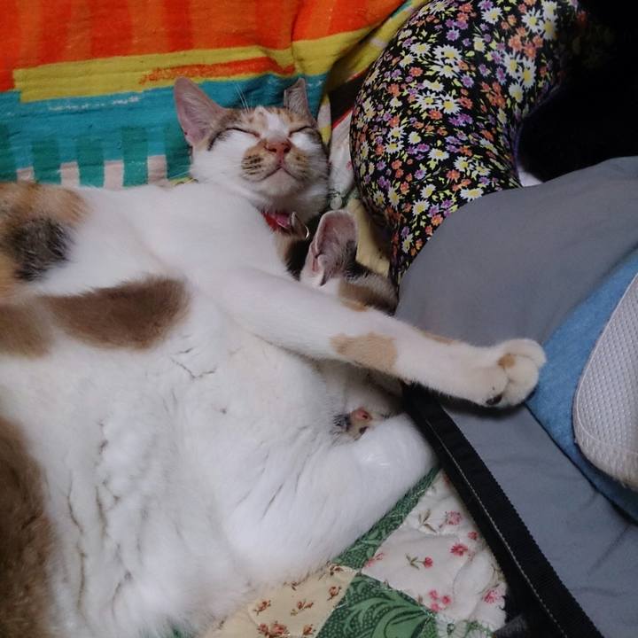 8ef8b6a3 f069 47e6 9bec c9167992f025