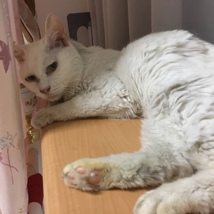 8ef959d6 b37a 42c0 a2e4 e2cfda1432cd