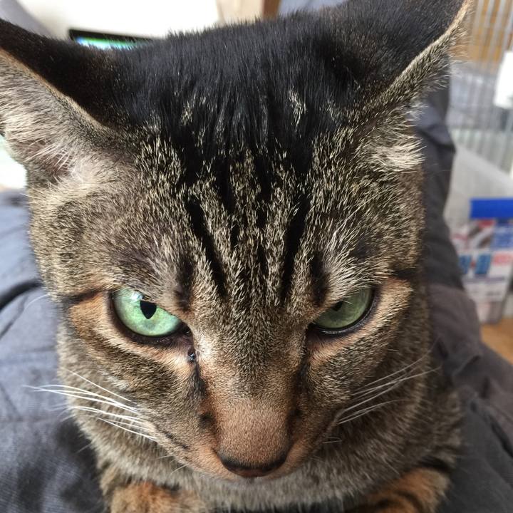 8ef96fde 9c8b 4f7a 8967 6f1292f4bc00