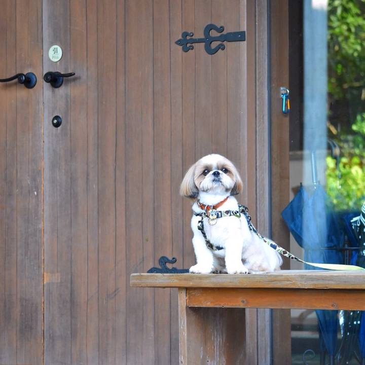 8ef985e9 7119 4179 a897 f2c323d23d1a