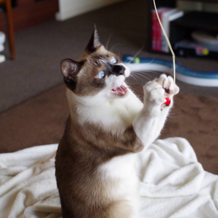 8efa008b 915f 43a1 9d4c 80423f8fe17b