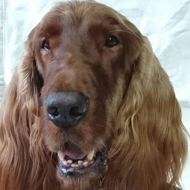 8efa0a3c 4276 4c73 a15c d58bf5835026