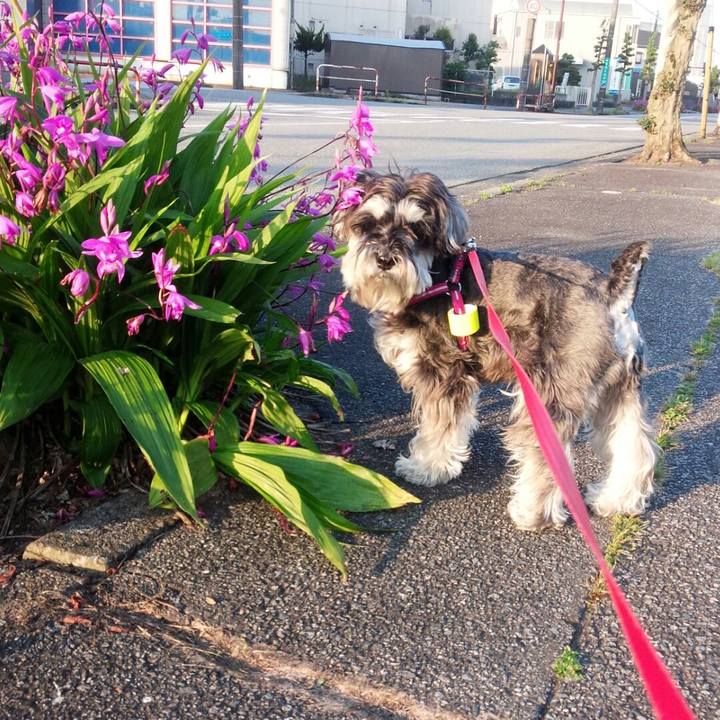 8efa0f82 6b9b 4506 9cb3 049d73d64513