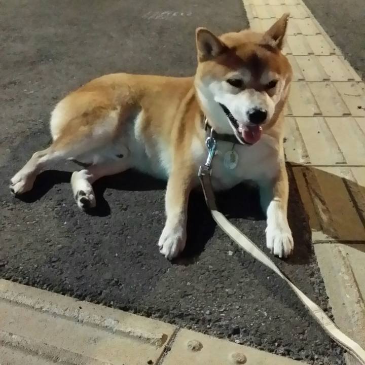 8efa9716 ee48 49ae b018 f50d43e52d5c