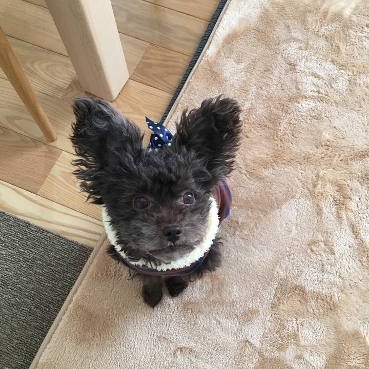 8efae368 befc 413e bfd3 600529cf3ad6