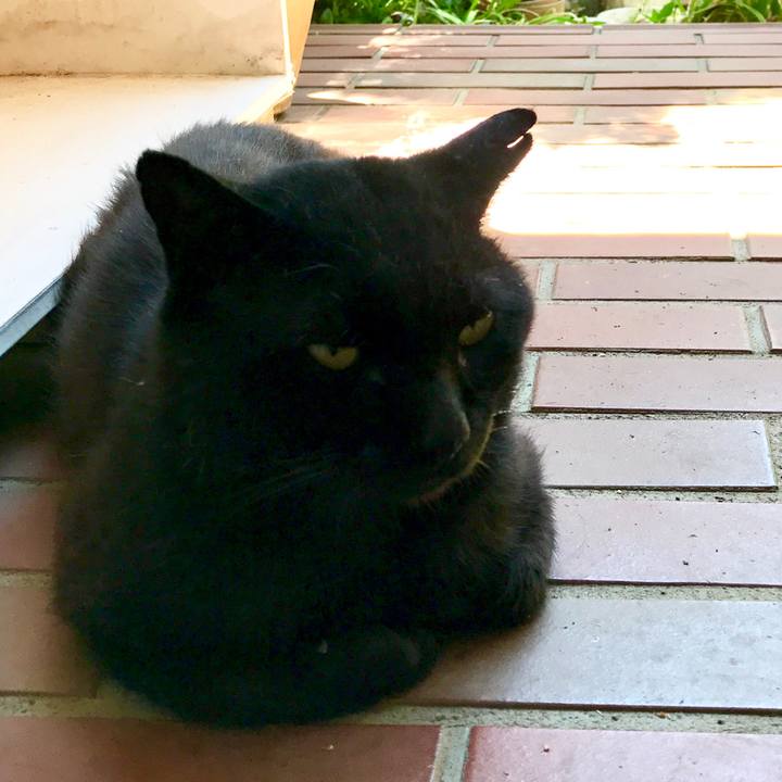 8efb9d8d f1dd 449b 8186 a2b550b1ba9c