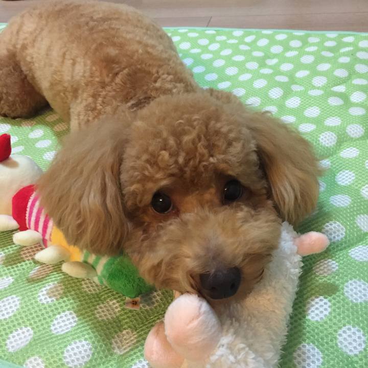 8efb9f61 6d6b 48f8 a18e 924558336411