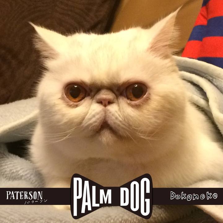 8efbb6c4 117a 4c17 aeed 6b5227790633