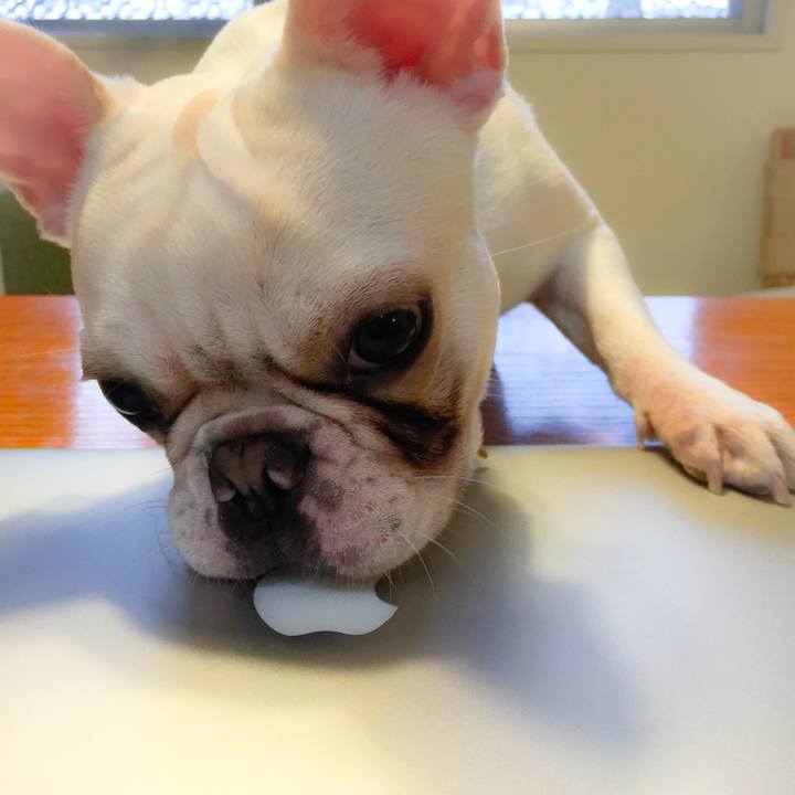 8efc5516 f4fc 4f32 8333 cab5f2f2a481