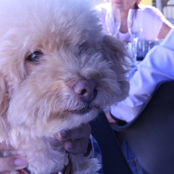 8efcadb0 feb4 4b4e 8dd1 85b7cf41a49a