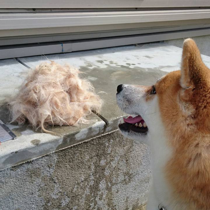 8efd45f3 189f 41e4 a001 48fa4027da77