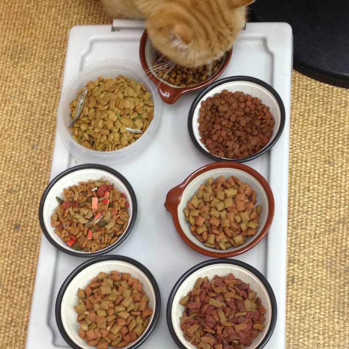 8efd4db9 2f75 43cc 9eae c18e5d0f9c9d