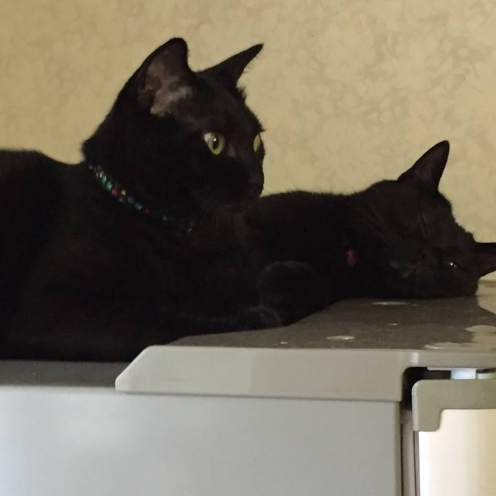 8efd8ca7 565d 41c2 81f2 2d905658536f