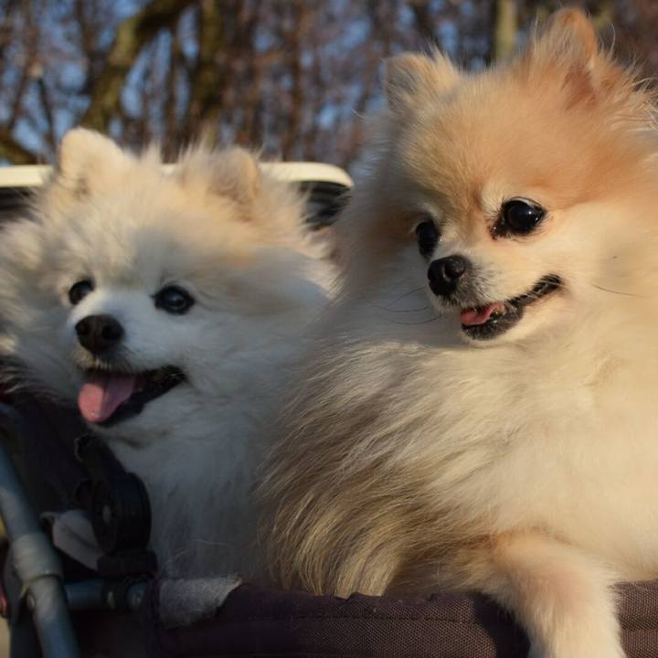 8efdb6b2 07d3 4659 aa53 94cb957f614d