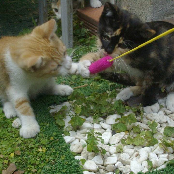 8efe7c3b 79d1 45c2 8ee2 3c5ba0bf4a3c