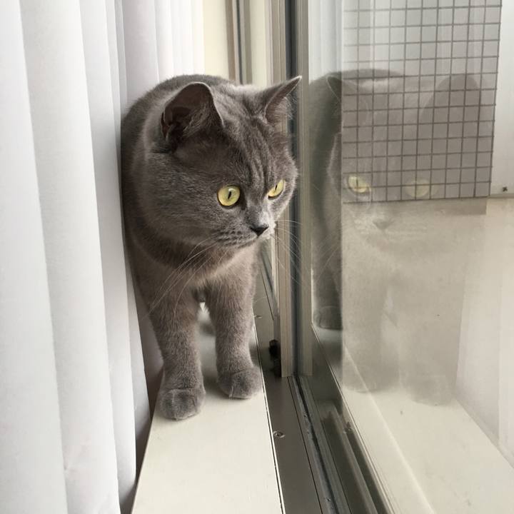 8eff1529 ce37 45fd 8333 e18c8d1aafc2