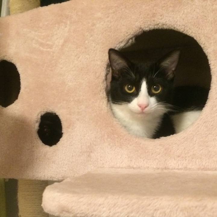 8eff1e31 dd8c 4661 a17a c4665bafdb47