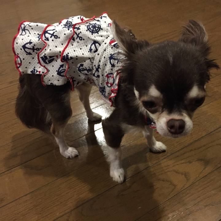 8effa905 3471 49bf a50c 423b3d1c1bf1