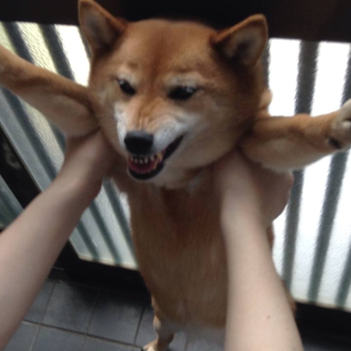 8effdb88 c118 4f38 ac8c c9f40a4cbe10