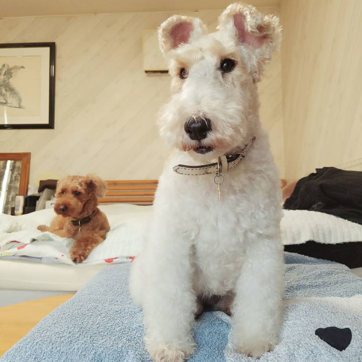 8effeb9f ea18 47f0 9638 1e9f33cecb5e