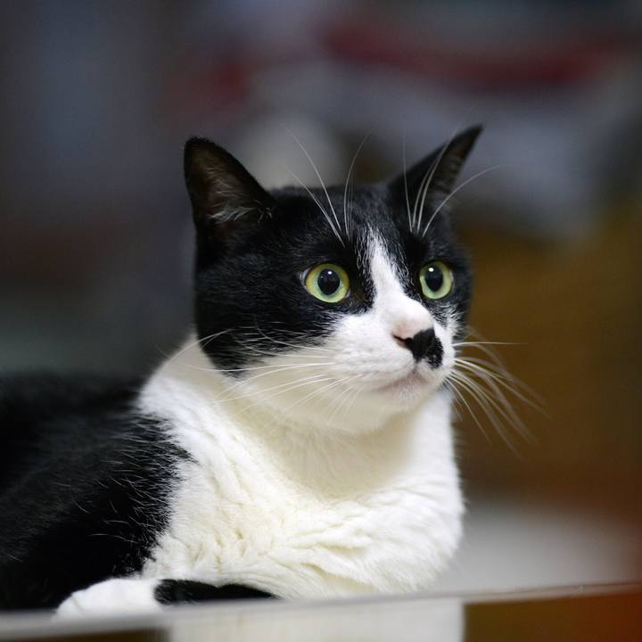 8effeee8 e1c1 4b3c 88a3 6e78bc87845f