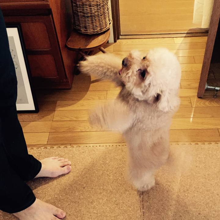 8f0016ff d6e9 4848 b7e9 94d1cc5c613e