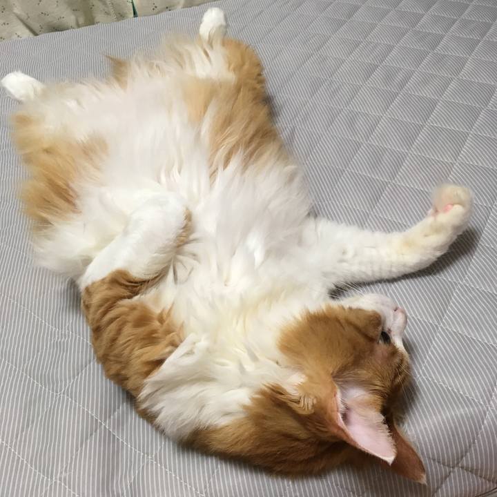 8f0017fd 99d2 4d4a 89e1 3656e3052416