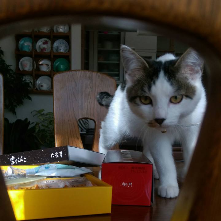 8f007e93 2b63 416a b5b0 d9da41e0fd8f