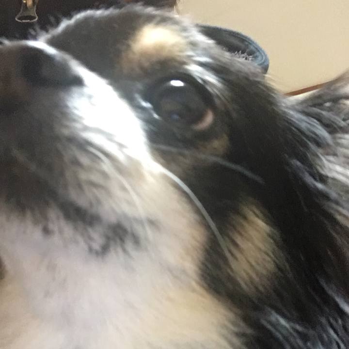 8f00e112 d31c 4ba2 91f7 ef3aa189eb56