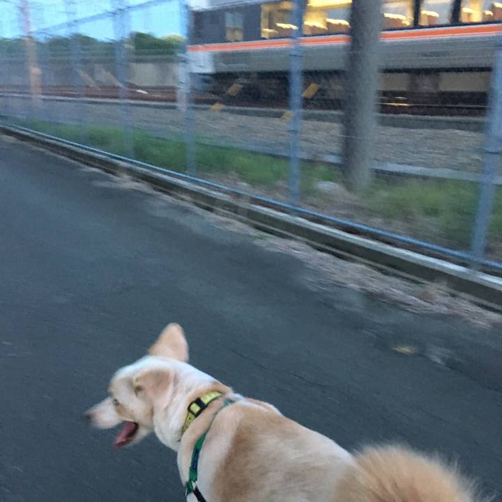 8f01508a bcb9 4ccd a5c6 913a59fefd81