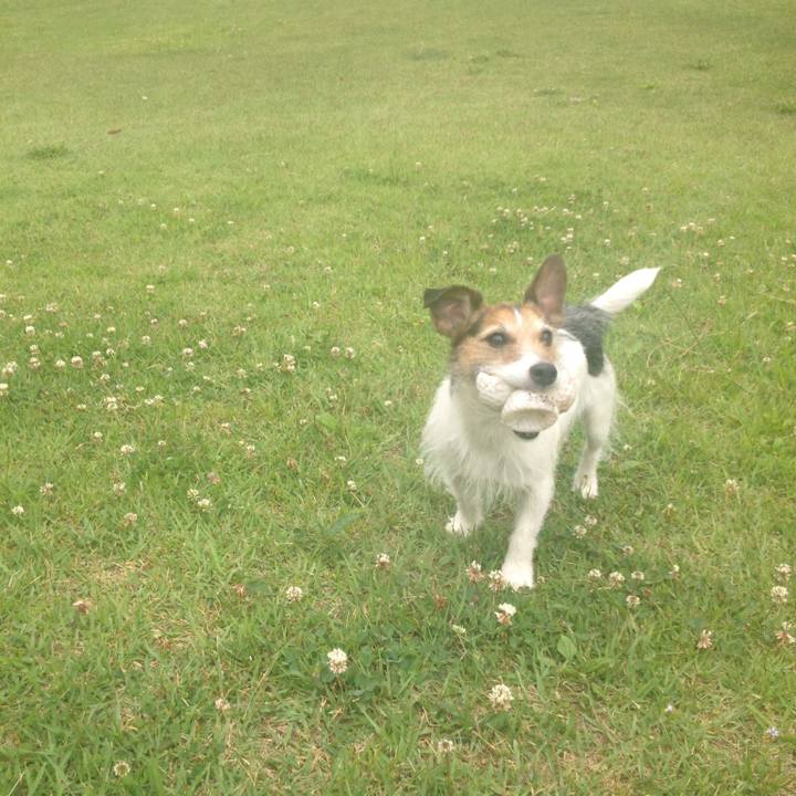 8f015706 568c 4e62 9574 40fc35800170