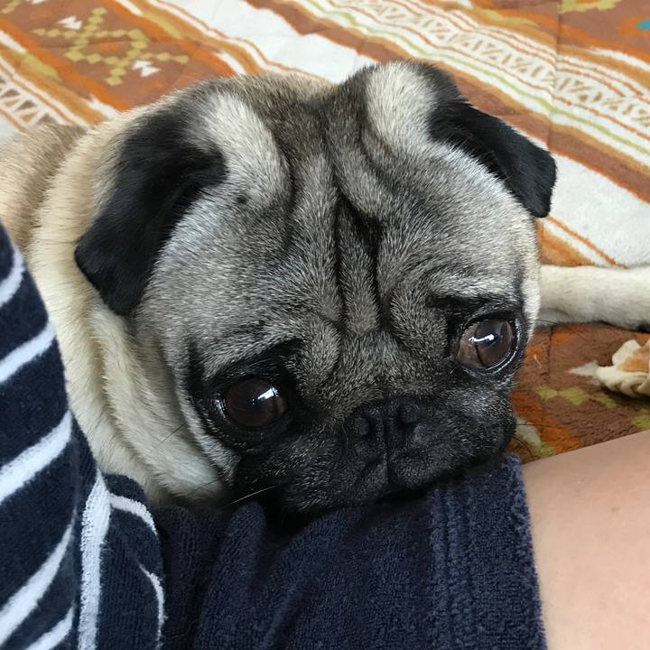 8f02828b 920a 45d8 b16c c136d6fbc691