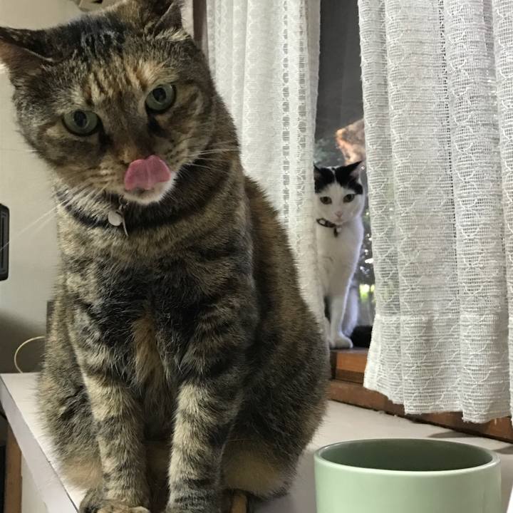 8f035437 dcbe 4f3c 8942 cdb0b5fee716