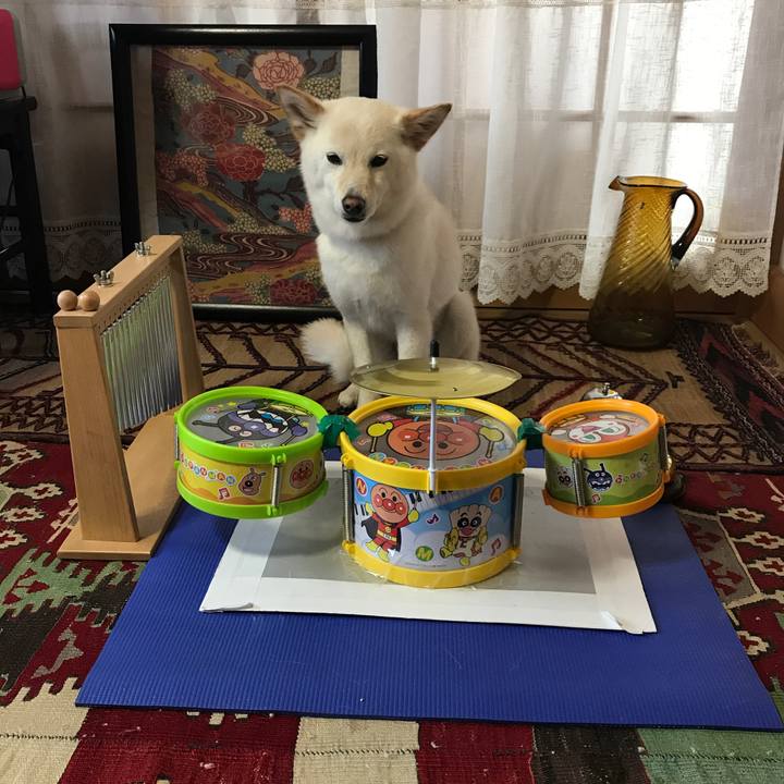 8f03d0de 1f50 4e69 b14e b9077471df34