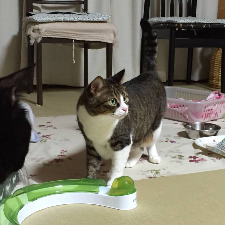 8f04d2b8 4e8f 4b90 87b4 6f40f08b6294