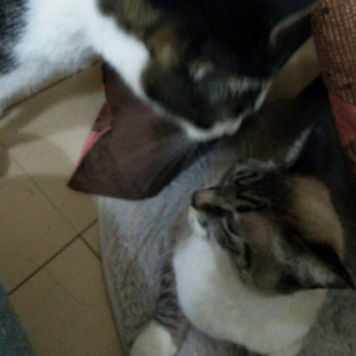 8f04f431 6668 4362 8daa 3921603c798e