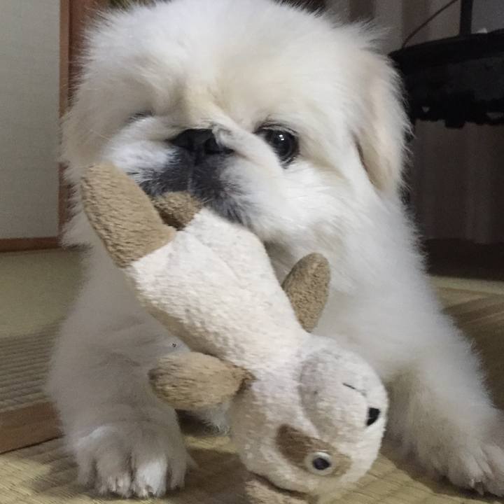 8f05dbde c947 4ecc 9681 26be6ab72515