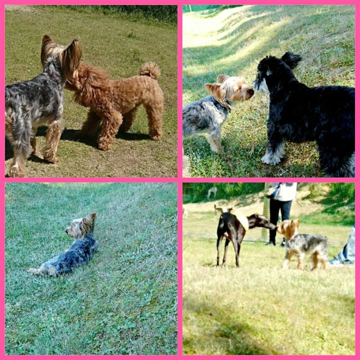 8f063445 c799 4b44 9ba4 0cb7e6675f5d