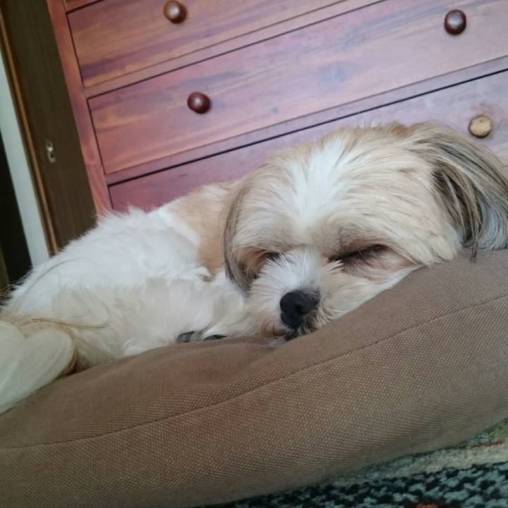 8f063851 a869 4324 8dd5 140a36c5b127