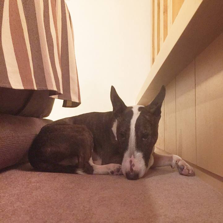 8f065e63 68de 443c b221 642c61ff8a2b