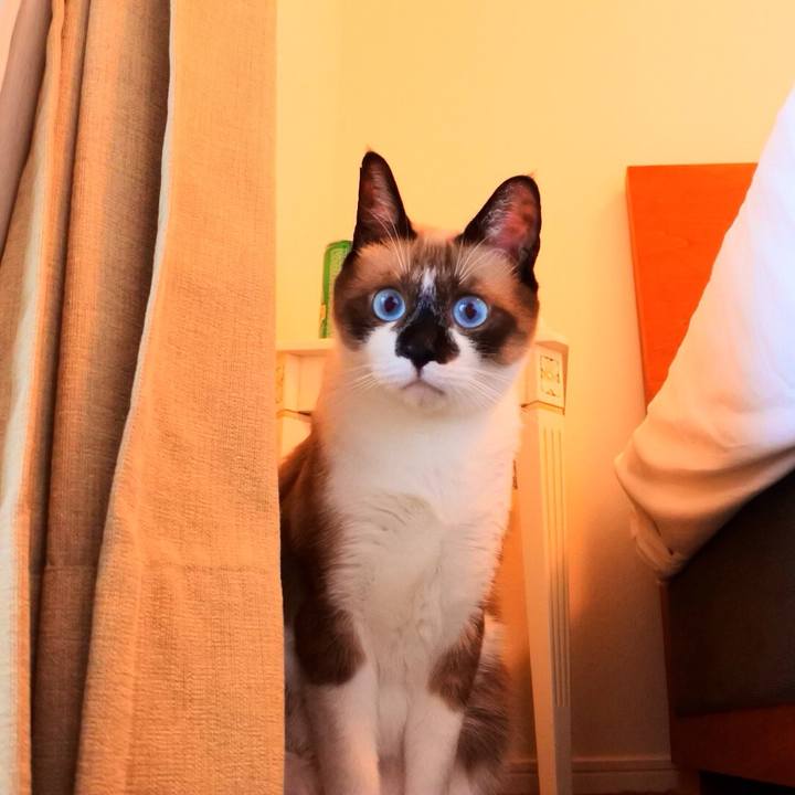 8f068d8a ee76 4349 b9a5 3b30bb6b429d