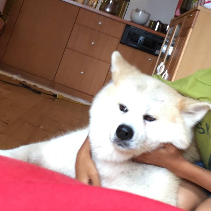 8f0698d7 1b60 4980 860a 415503402c7f