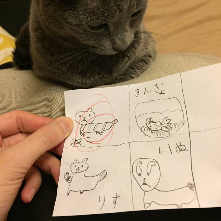 8f069b31 5b12 4e89 8116 aa8e0d934b19