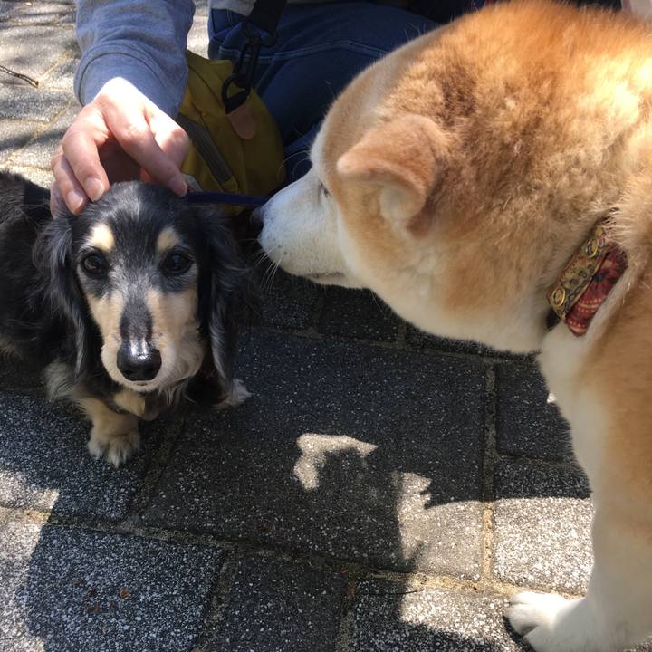 8f07160a ed55 4252 a3cf 3c6bcd4a8649