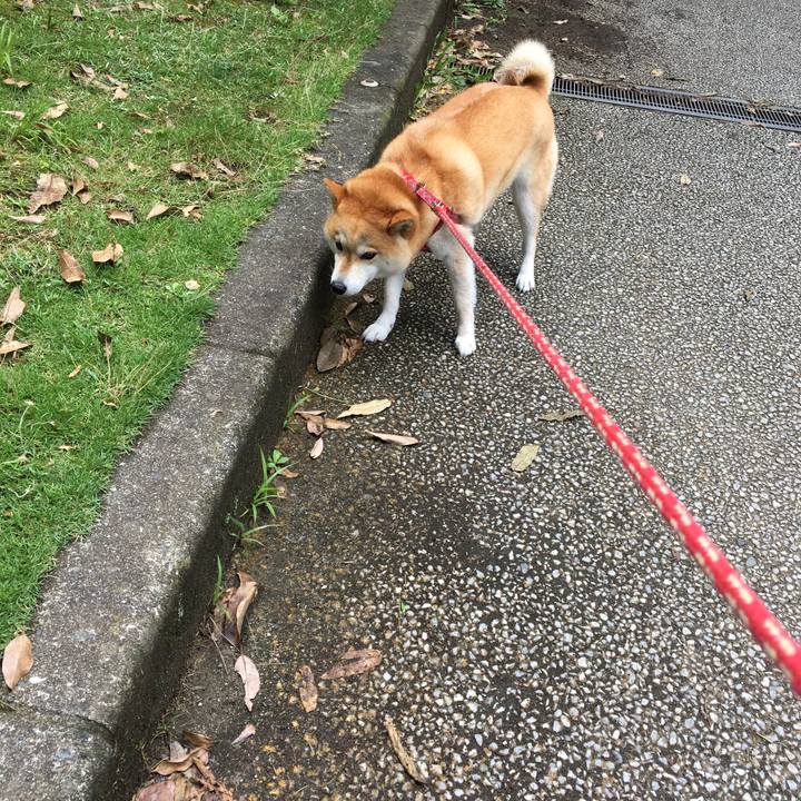 8f085f3c 0f24 44f3 9687 d2ec774b473b