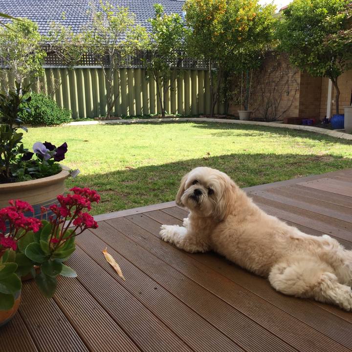 8f0879c6 6a9b 4cca 923e 5f37f5c1b671